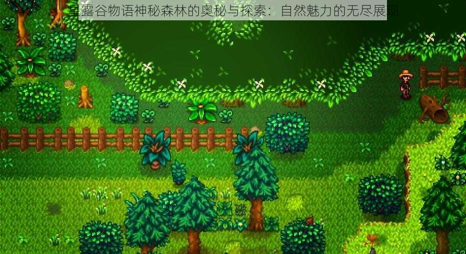星露谷物语神秘森林的奥秘与探索：自然魅力的无尽展现