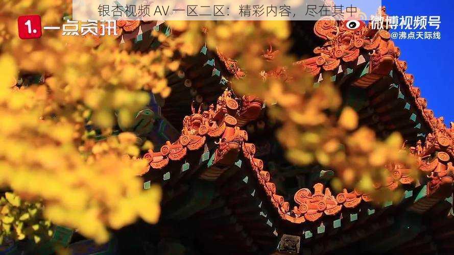 银杏视频 AV 一区二区:精彩内容,尽在其中