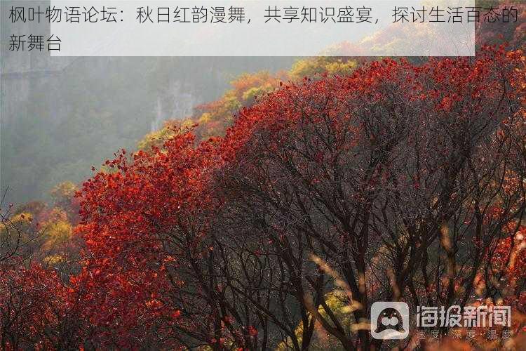 枫叶物语论坛:秋日红韵漫舞,共享知识盛宴,探讨生活百态的新舞台
