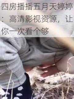 四房播播五月天婷婷:高清影视资源,让你一次看个够