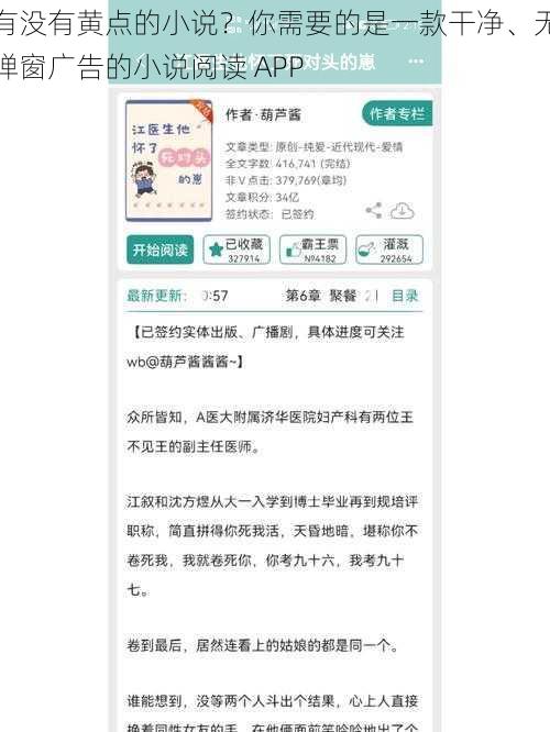 有没有黄点的小说?你需要的是一款干净、无弹窗广告的小说阅读 APP