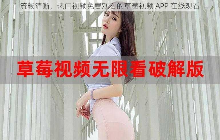 流畅清晰,热门视频免费观看的草莓视频 APP 在线观看