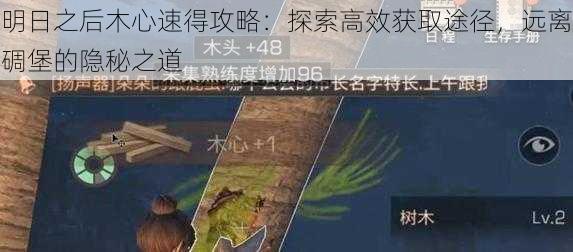 明日之后木心速得攻略:探索高效获取途径,远离碉堡的隐秘之道