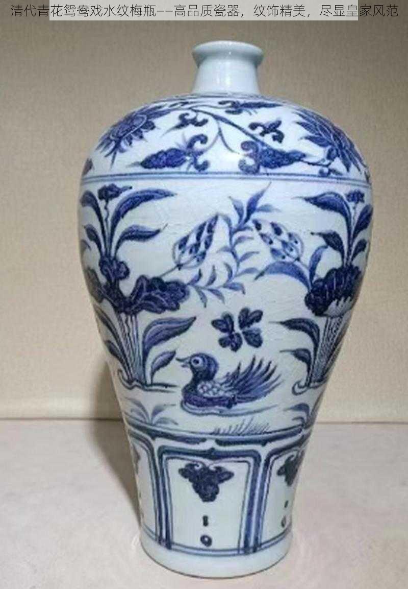 清代青花鸳鸯戏水纹梅瓶——高品质瓷器,纹饰精美,尽显皇家风范