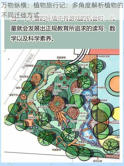 万物纵横:植物旅行记:多角度解析植物的不同迁徙方式