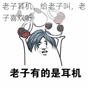 老子耳机,给老子叫,老子喜欢听