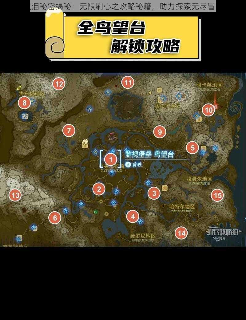 王国之泪秘密揭秘:无限刷心之攻略秘籍,助力探索无尽冒险旅程
