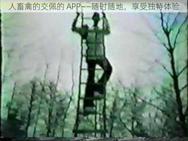 人畜禽的交佩的 APP——随时随地,享受独特体验