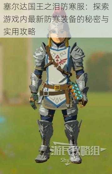 塞尔达国王之泪防寒服:探索游戏内最新防寒装备的秘密与实用攻略