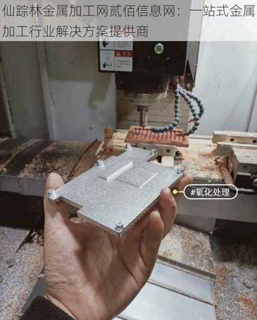 仙踪林金属加工网贰佰信息网:一站式金属加工行业解决方案提供商