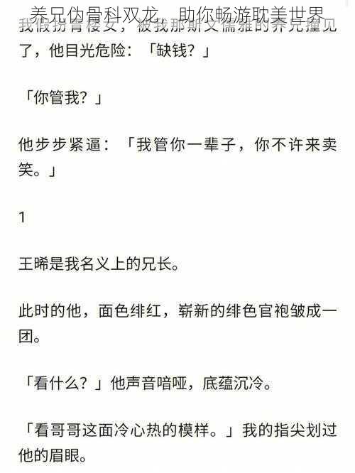 养兄伪骨科双龙,助你畅游耽美世界