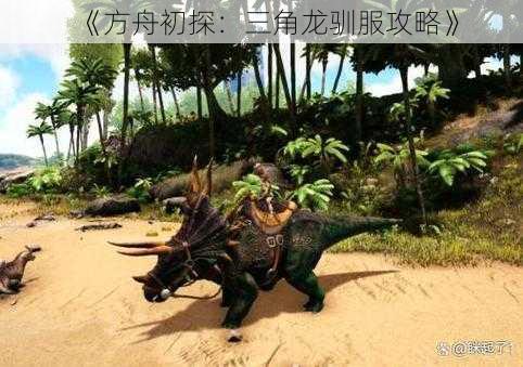 《方舟初探:三角龙驯服攻略》
