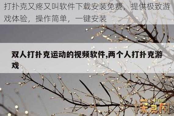 打扑克又疼又叫软件下载安装免费,提供极致游戏体验,操作简单,一键安装
