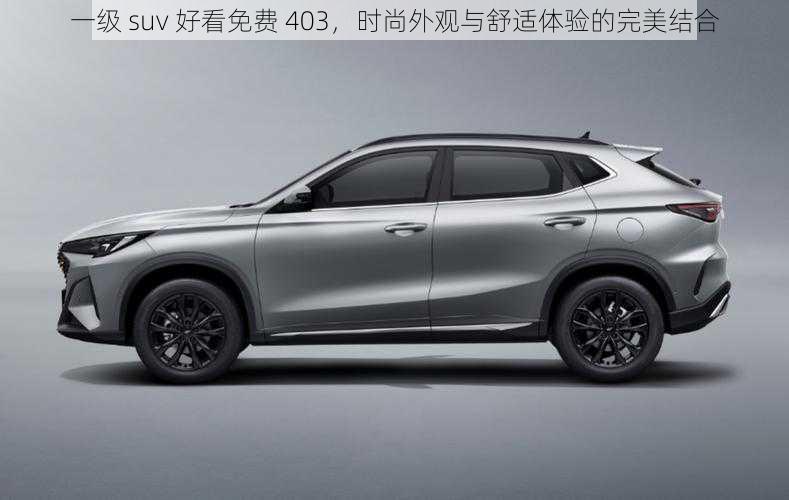 一级 suv 好看免费 403,时尚外观与舒适体验的完美结合