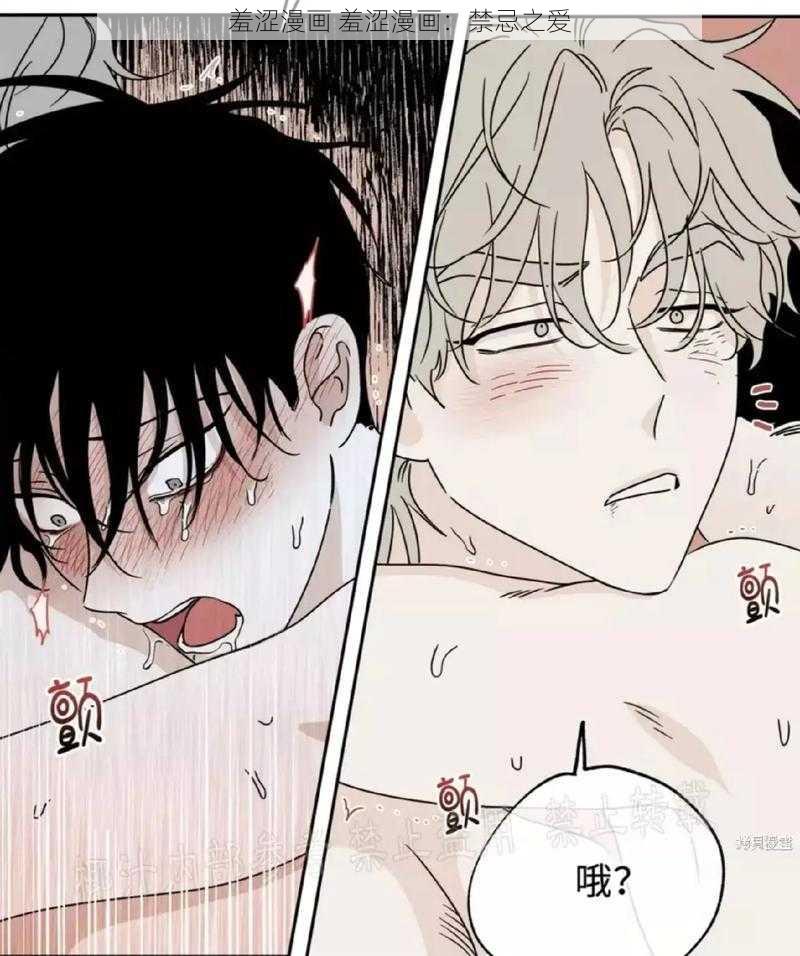 羞涩漫画 羞涩漫画:禁忌之爱