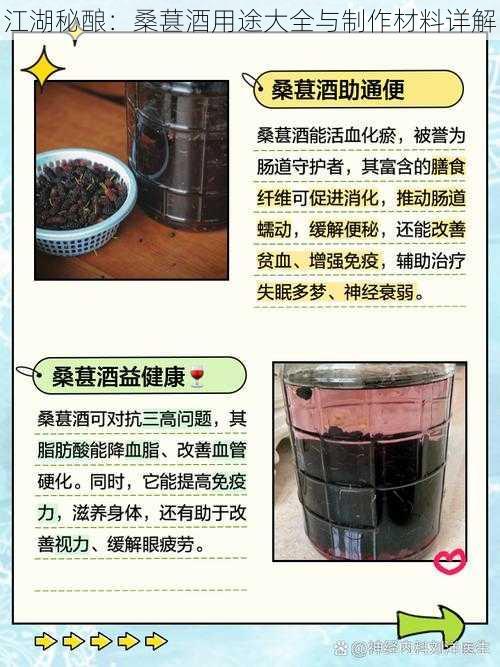 江湖秘酿:桑葚酒用途大全与制作材料详解