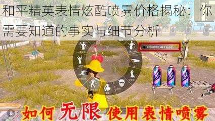 和平精英表情炫酷喷雾价格揭秘:你需要知道的事实与细节分析