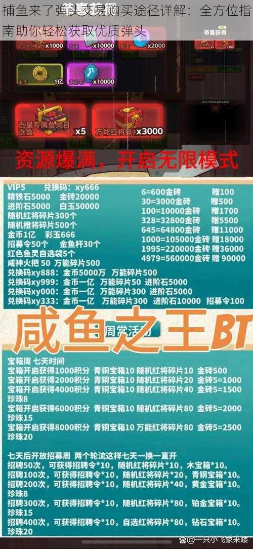 捕鱼来了弹头交易购买途径详解:全方位指南助你轻松获取优质弹头