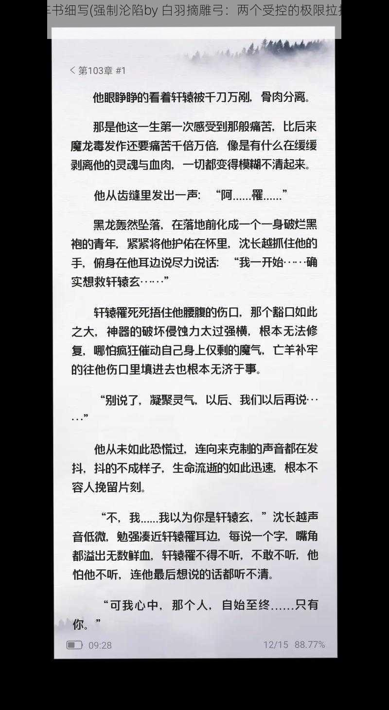 双男主车书细写(强制沦陷by 白羽摘雕弓:两个受控的极限拉扯,我可以)