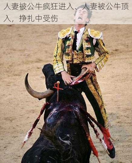 人妻被公牛疯狂进入、人妻被公牛顶入,挣扎中受伤