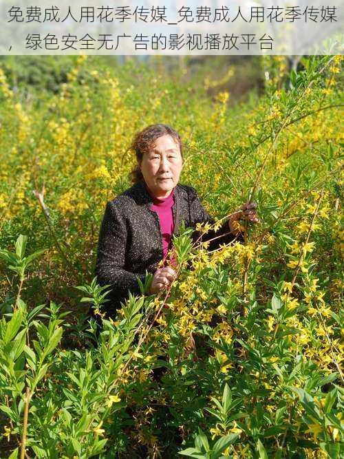 免费成人用花季传媒_免费成人用花季传媒,绿色安全无广告的影视播放平台