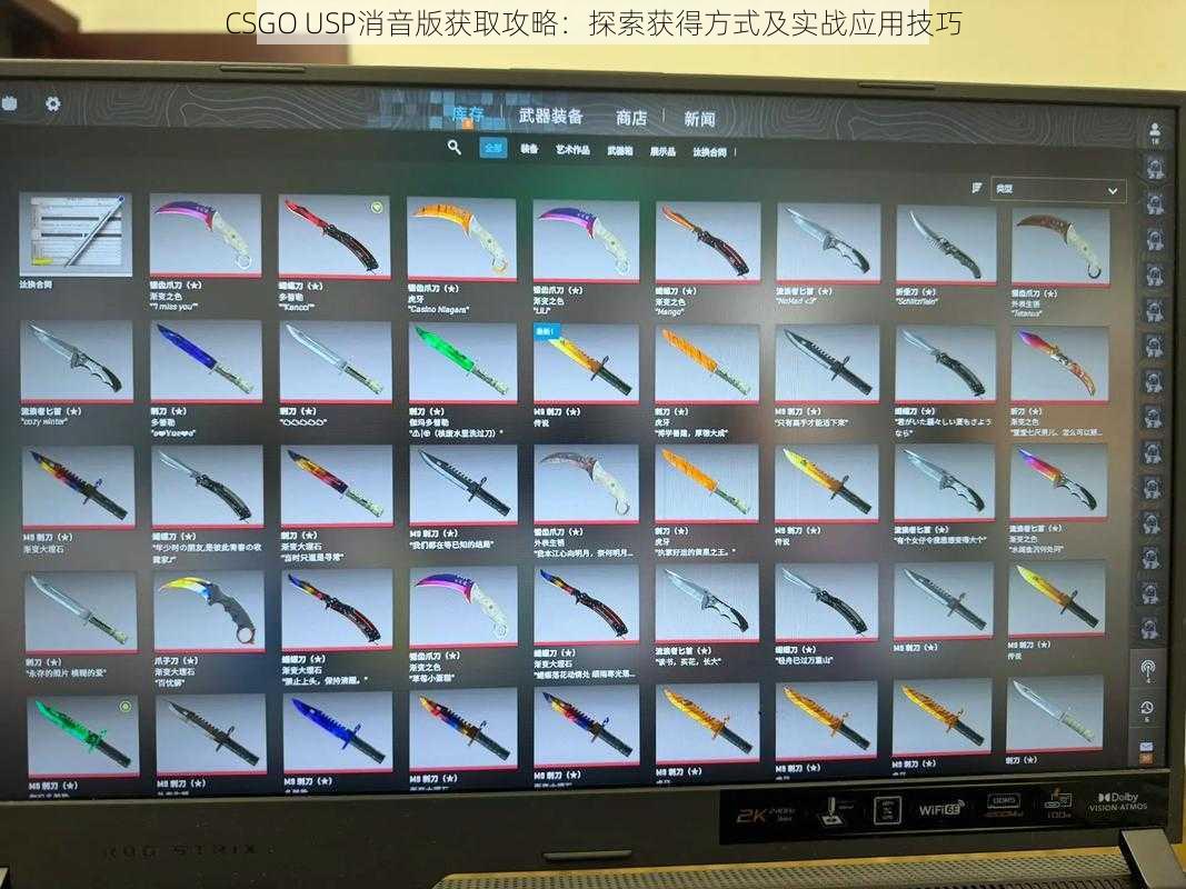 CSGO USP消音版获取攻略:探索获得方式及实战应用技巧