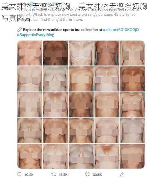 美女裸体无遮挡奶胸、美女裸体无遮挡奶胸写真图片