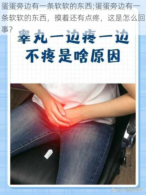 蛋蛋旁边有一条软软的东西;蛋蛋旁边有一条软软的东西,摸着还有点疼,这是怎么回事?