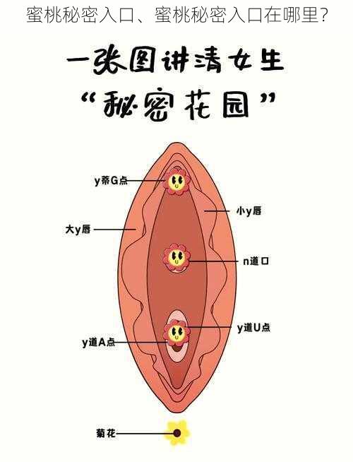 蜜桃秘密入口、蜜桃秘密入口在哪里?