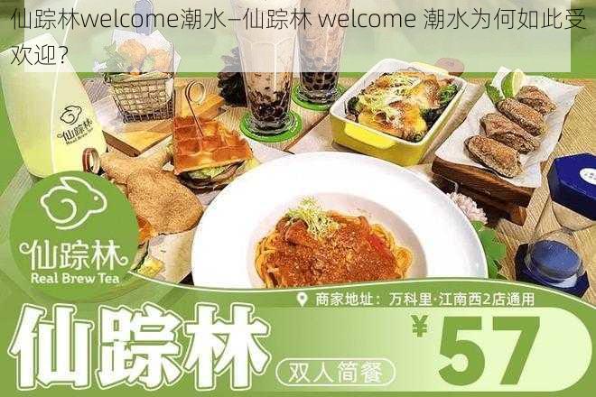 仙踪林welcome潮水—仙踪林 welcome 潮水为何如此受欢迎？