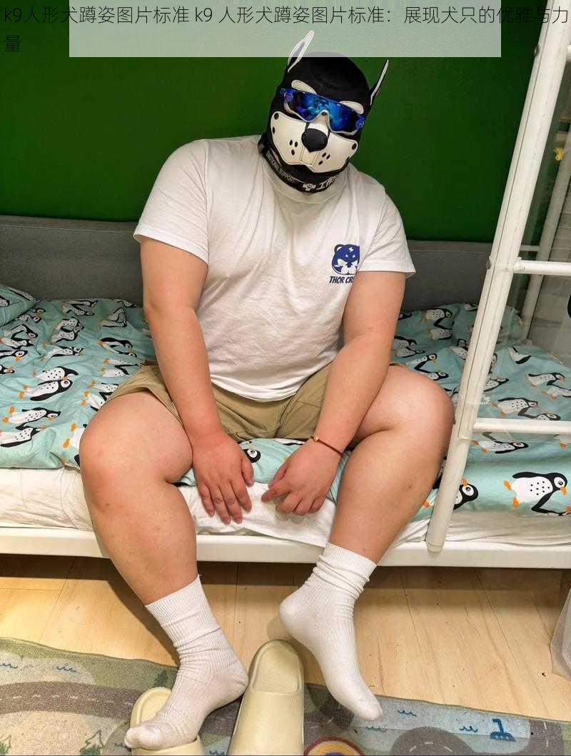 k9人形犬蹲姿图片标准 k9 人形犬蹲姿图片标准:展现犬只的优雅与力量