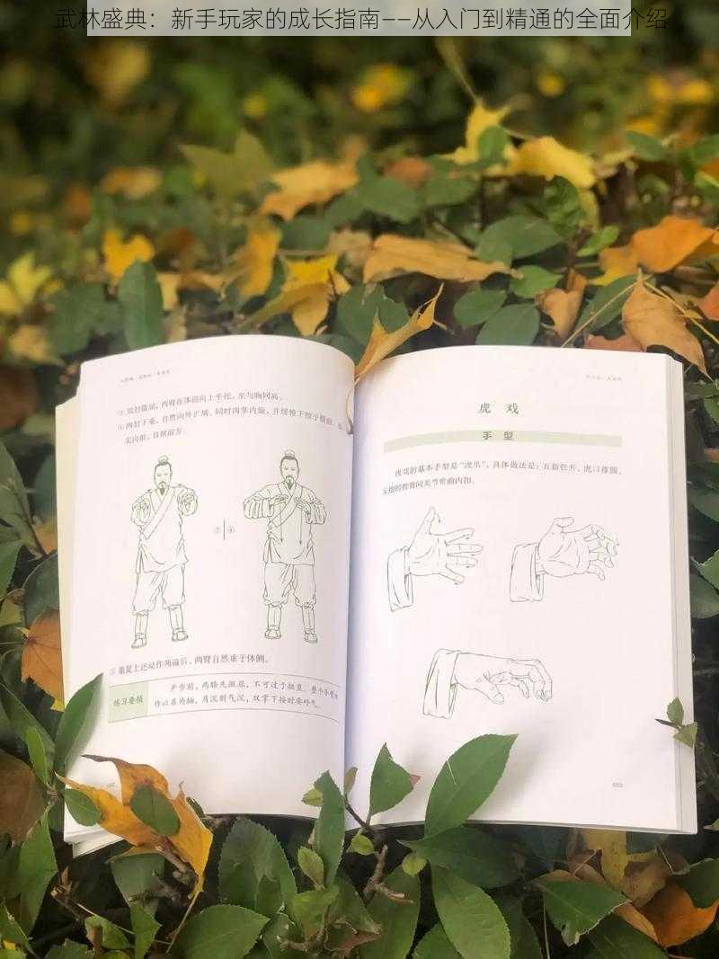 武林盛典:新手玩家的成长指南——从入门到精通的全面介绍