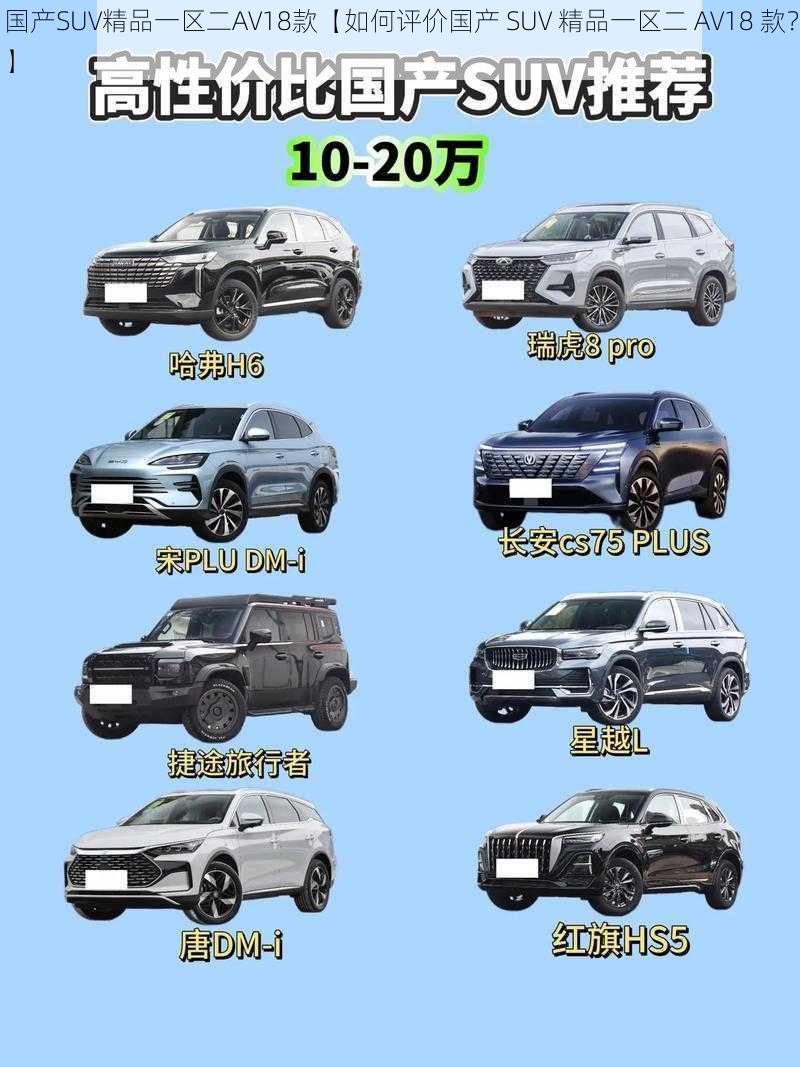 国产SUV精品一区二AV18款【如何评价国产 SUV 精品一区二 AV18 款?】