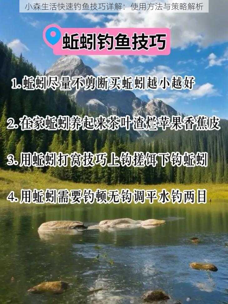 小森生活快速钓鱼技巧详解:使用方法与策略解析