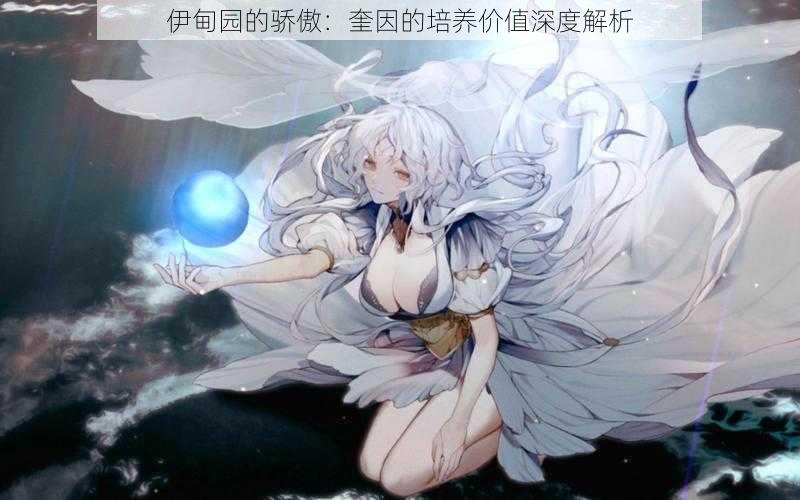 伊甸园的骄傲:奎因的培养价值深度解析