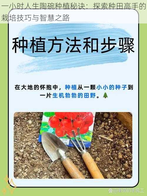 一小时人生陶碗种植秘诀:探索种田高手的栽培技巧与智慧之路