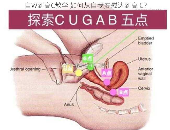 自W到高C教学 如何从自我安慰达到高 C?