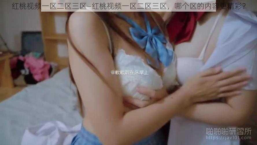 红桃视频一区二区三区—红桃视频一区二区三区,哪个区的内容更精彩?