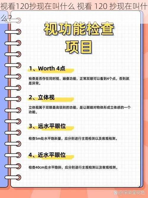 视看120抄现在叫什么 视看 120 抄现在叫什么?