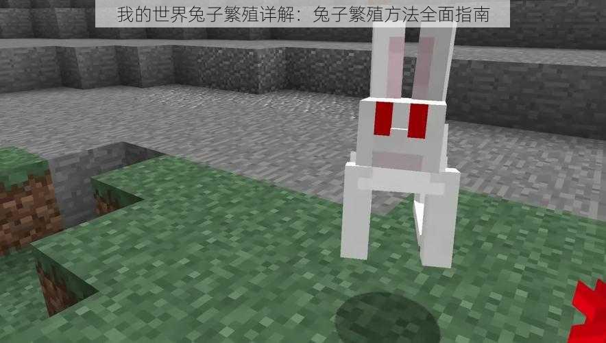我的世界兔子繁殖详解:兔子繁殖方法全面指南