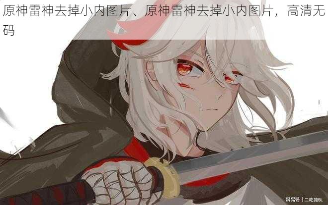 原神雷神去掉小内图片、原神雷神去掉小内图片，高清无码