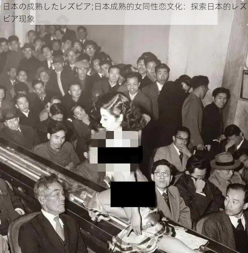 日本の成熟したレズビア;日本成熟的女同性恋文化:探索日本的レズビア现象