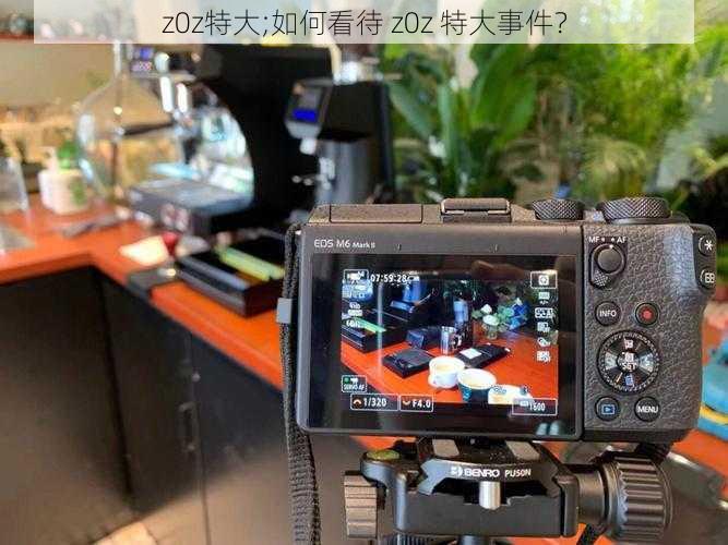 z0z特大;如何看待 z0z 特大事件?