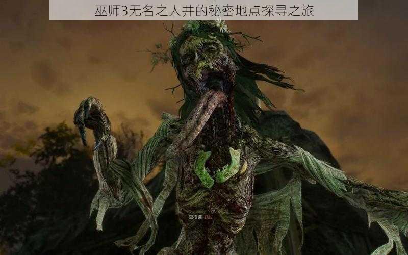巫师3无名之人井的秘密地点探寻之旅