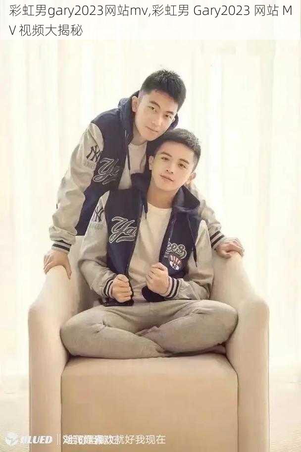 彩虹男gary2023网站mv,彩虹男 Gary2023 网站 MV 视频大揭秘