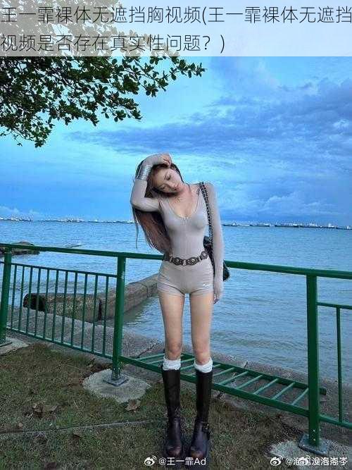 王一霏裸体无遮挡胸视频(王一霏裸体无遮挡视频是否存在真实性问题?)