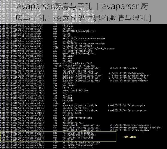 Javaparser厨房与子乱【Javaparser 厨房与子乱:探索代码世界的激情与混乱】