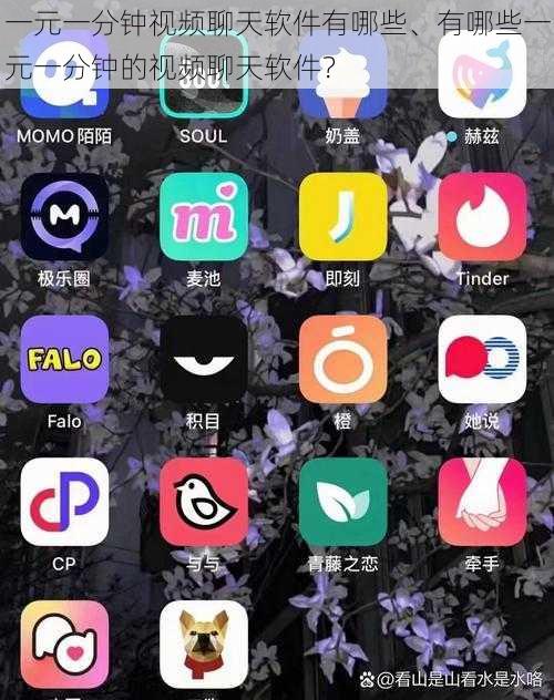 一元一分钟视频聊天软件有哪些、有哪些一元一分钟的视频聊天软件?