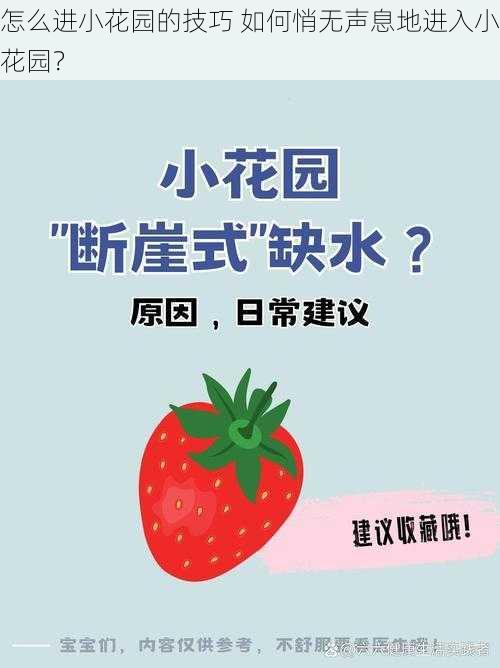 怎么进小花园的技巧 如何悄无声息地进入小花园?