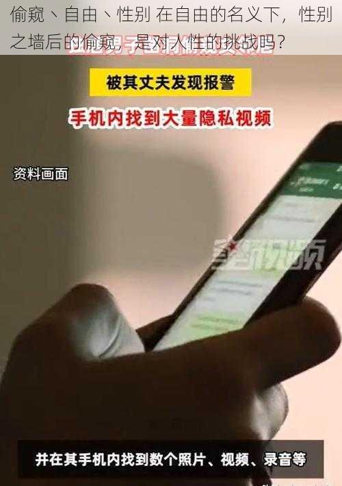偷窥丶自由丶性别 在自由的名义下,性别之墙后的偷窥,是对人性的挑战吗?